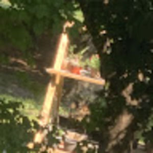 Meet your Posher, Veronica